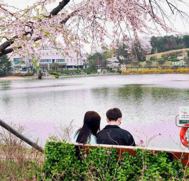 试论青年古典学人的学术志向——以新中国古典学学脉奠基人罗念生为例