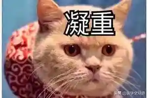 科研取代传统补习班成新“网红”，秘诀就在于兼顾体制内外升学