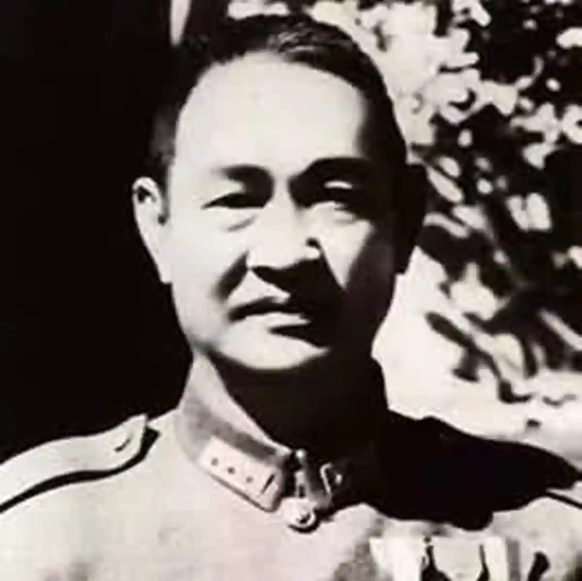 民国现实版无崖子与虚竹：司令下棋输小兵，直接给钱你去北大深造