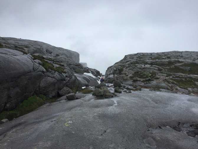 张D民规避法律风险